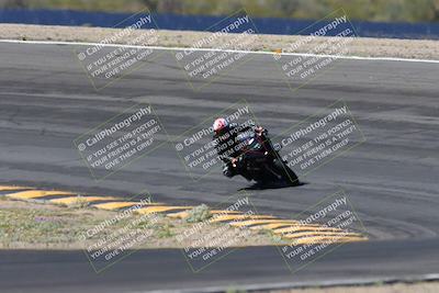 media/Apr-14-2024-SoCal Trackdays (Sun) [[70f97d3d4f]]/5-Bowl Exit (1020am)/